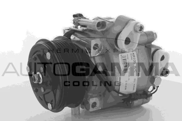 Compressor, air conditioning (118595)