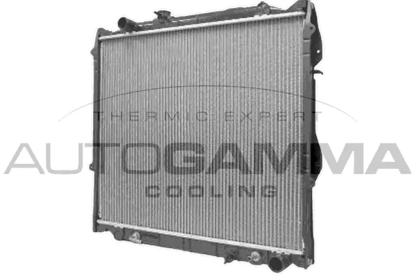 Radiator, engine cooling (102370)