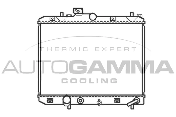 Radiator, engine cooling (105607)
