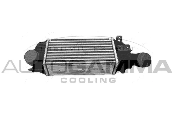 Charge Air Cooler (105767)