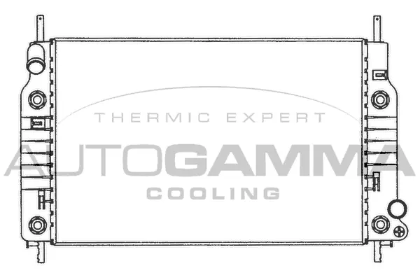Radiator, engine cooling (100371)