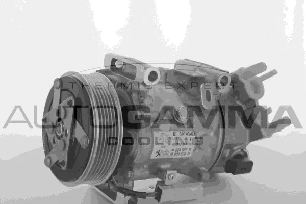 Compressor, air conditioning (118571)