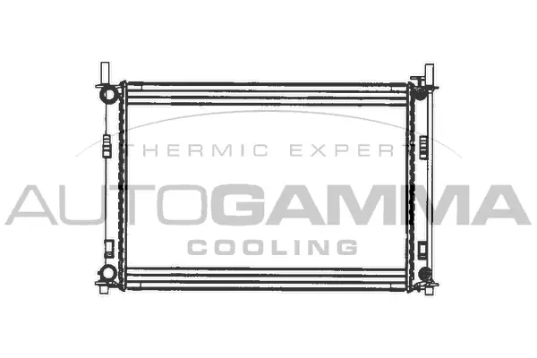 Radiator, engine cooling (103071)