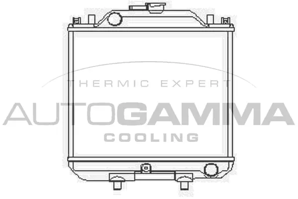 Radiator, engine cooling (103634)