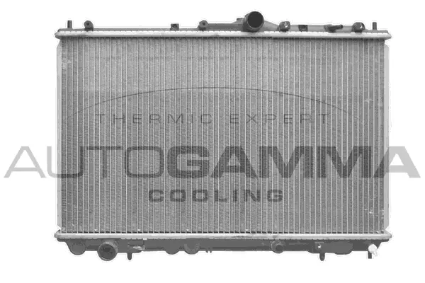 Radiator, engine cooling (102384)