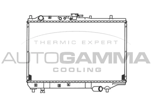 Radiator, engine cooling (102135)