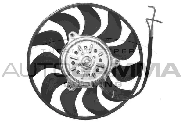 Fan, engine cooling (GA221302)