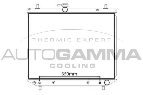 Radiator, engine cooling (107975)