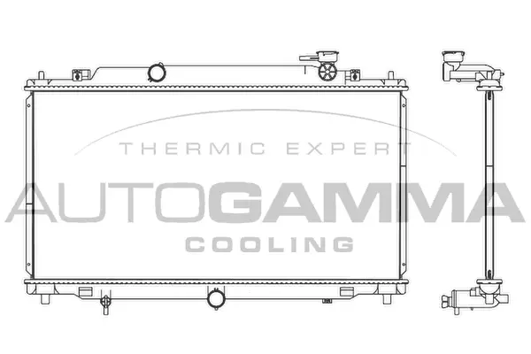 Radiator, engine cooling (107529)