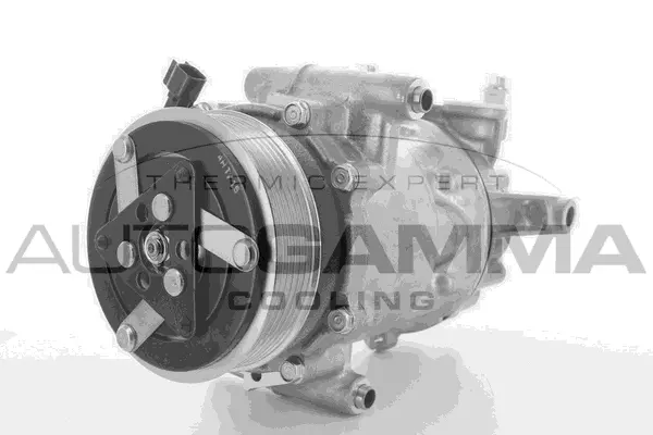 Compressor, air conditioning (118443)