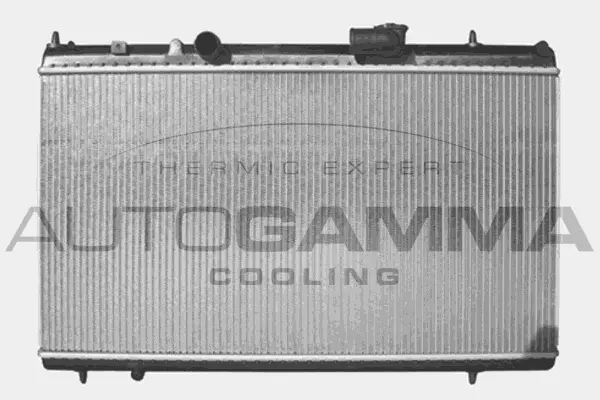 Radiator, engine cooling (103570)