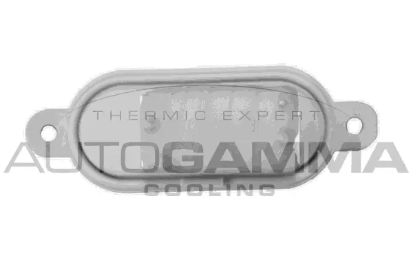 Resistor, interior blower (GA15304)