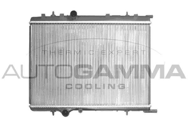 Radiator, engine cooling (103583)