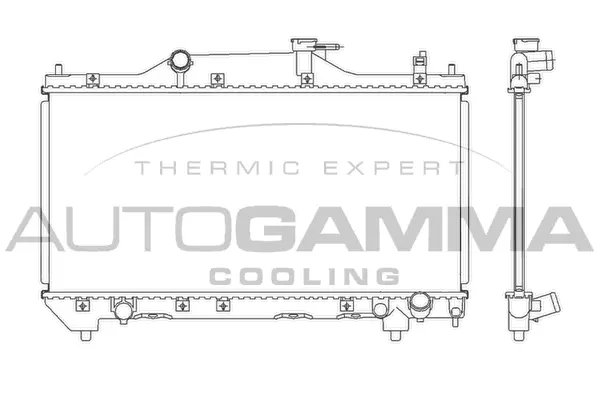 Radiator, engine cooling (103534)
