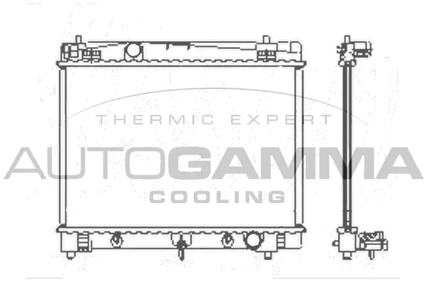 Radiator, engine cooling (104623)