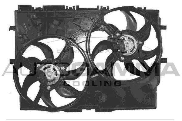 Fan, engine cooling