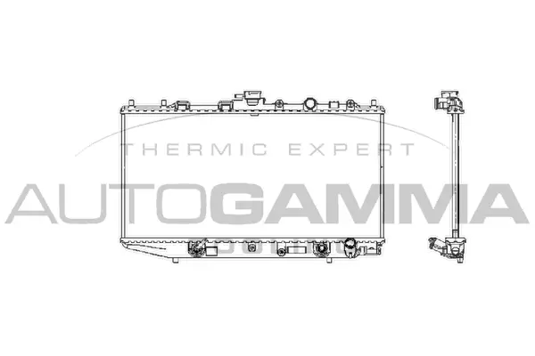 Radiator, engine cooling (100420)