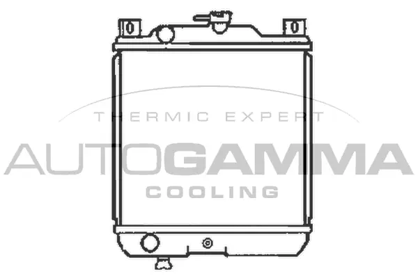 Radiator, engine cooling (102339)