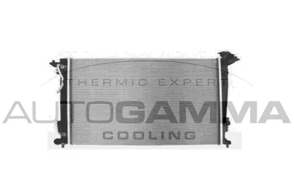 Radiator, engine cooling (105839)