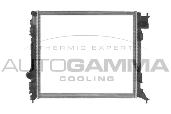 Radiator, engine cooling (107625)
