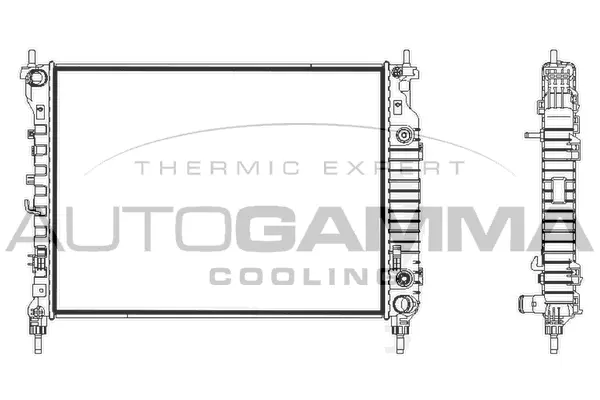 Radiator, engine cooling (107839)