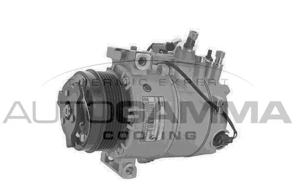 Compressor, air conditioning (108113)