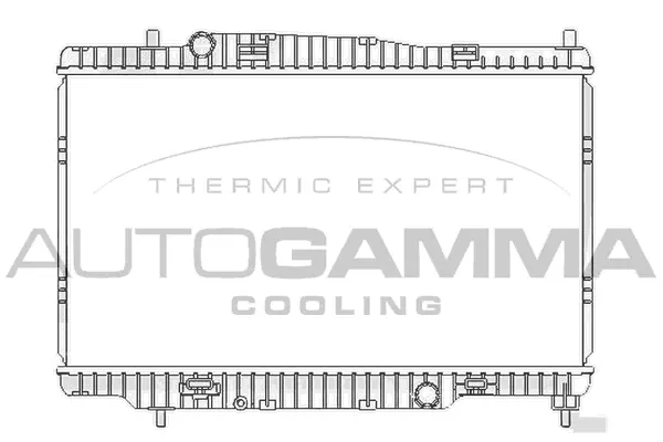 Radiator, engine cooling (107763)