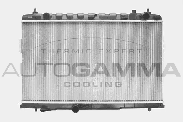 Radiator, engine cooling (103755)