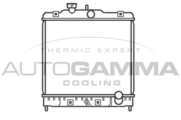 Radiator, engine cooling (102911)
