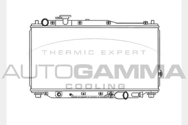 Radiator, engine cooling (104031)