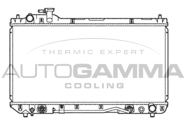 Radiator, engine cooling (107189)
