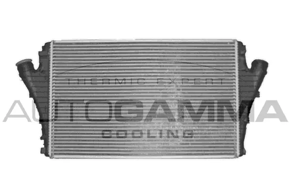 Charge Air Cooler (104043)