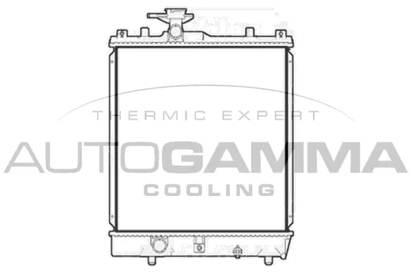 Radiator, engine cooling (104148)