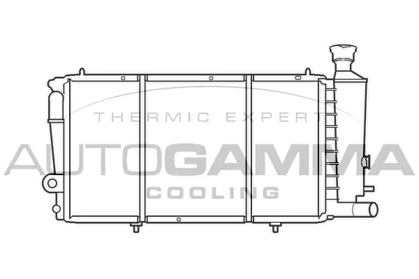 Radiator, engine cooling (100172)