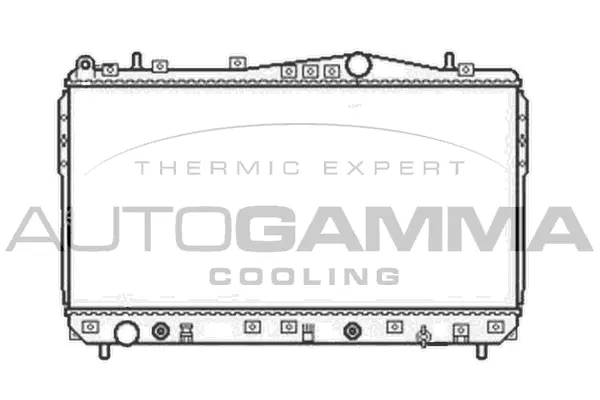 Radiator, engine cooling (104056)