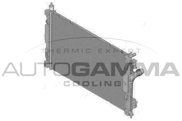 Radiator, engine cooling (107396)