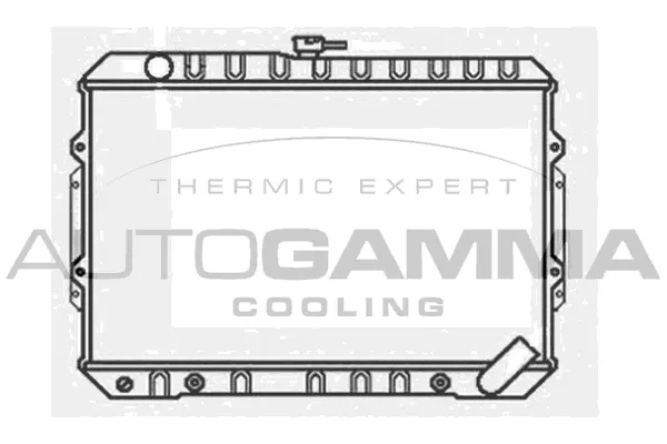 Radiator, engine cooling (100594)