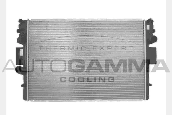 Radiator, engine cooling (103333)