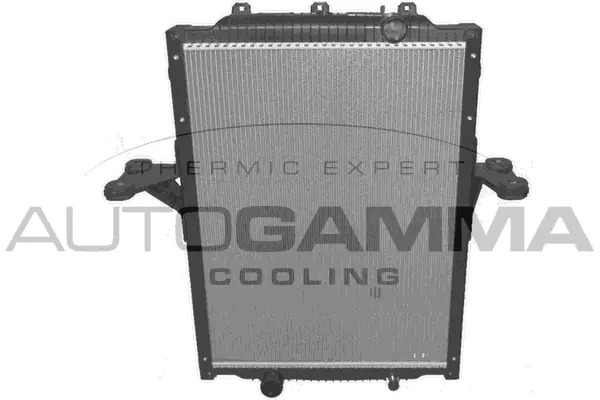 Radiator, engine cooling (404560)