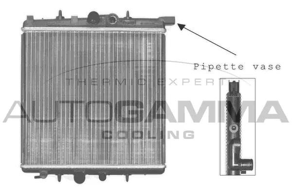 Radiator, engine cooling (102883)