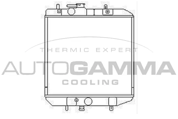 Radiator, engine cooling (103404)