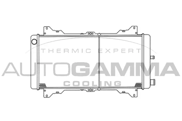 Radiator, engine cooling (100336)