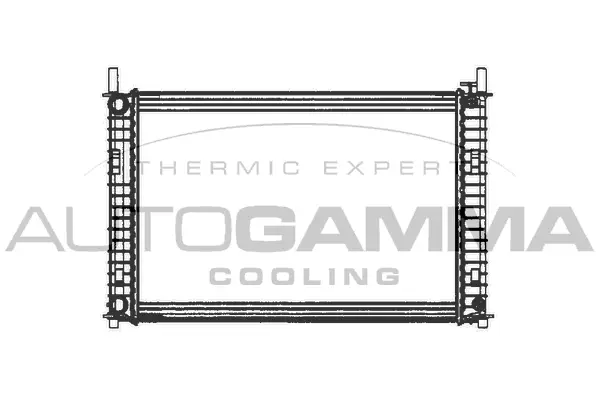 Radiator, engine cooling (103073)