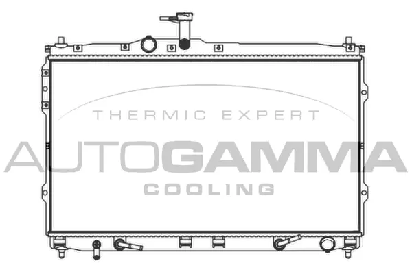 Radiator, engine cooling (107393)