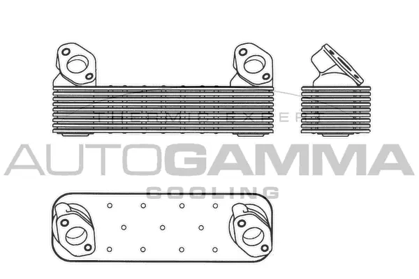 Oil Cooler, engine oil (303710)