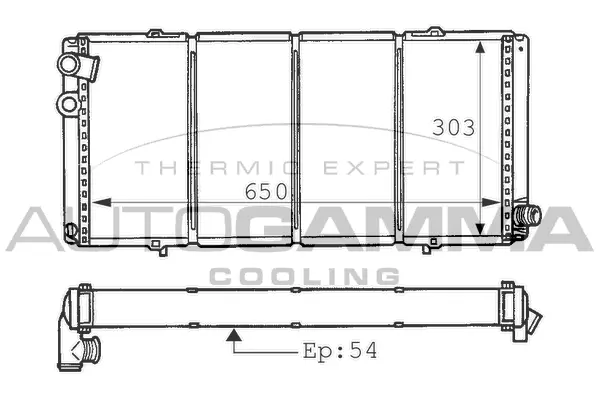 Radiator, engine cooling (100745)