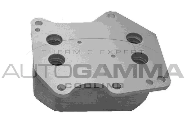 Oil Cooler, engine oil (107706)