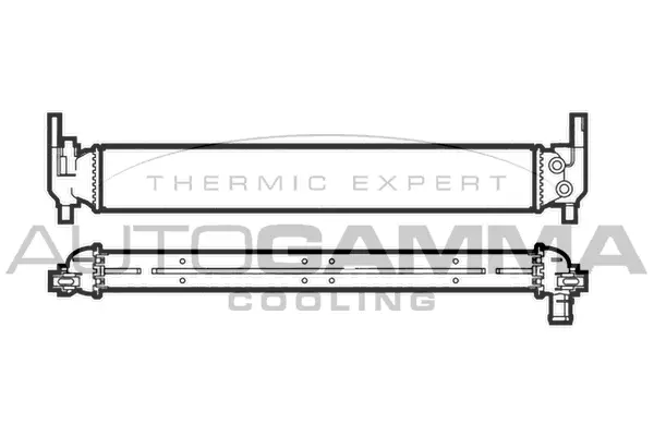 Radiator, engine cooling (107200)