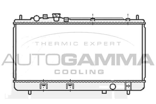 Radiator, engine cooling (107038)