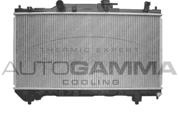Radiator, engine cooling (102348)